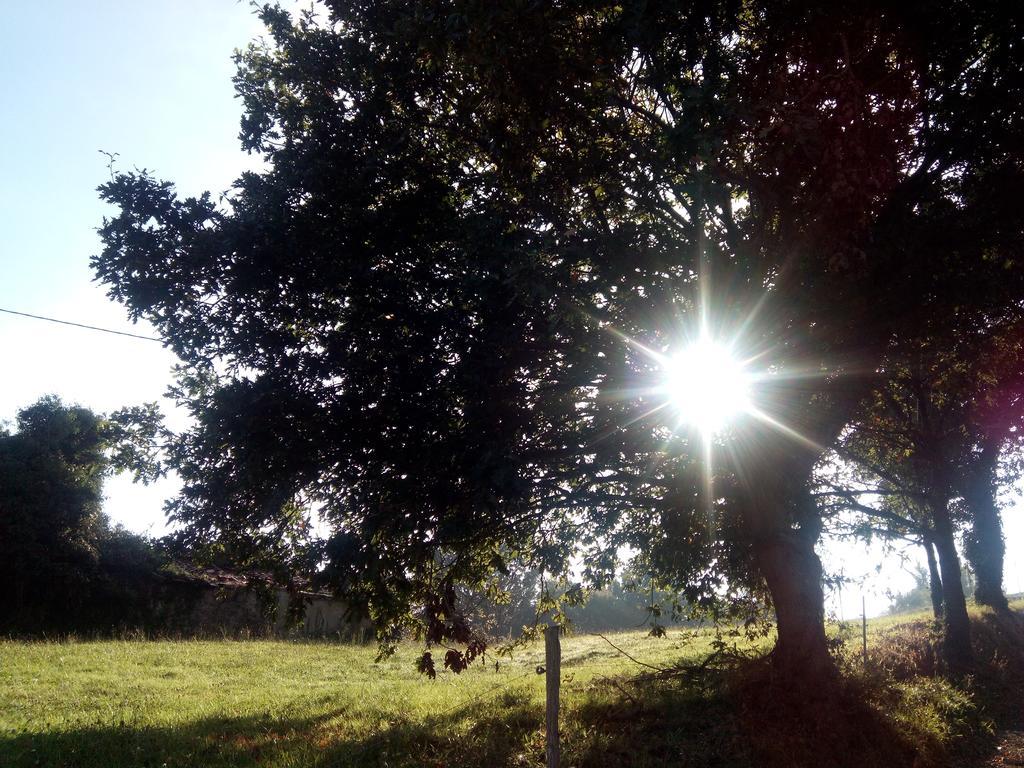 Posada La Cotia Helguera  Exteriér fotografie